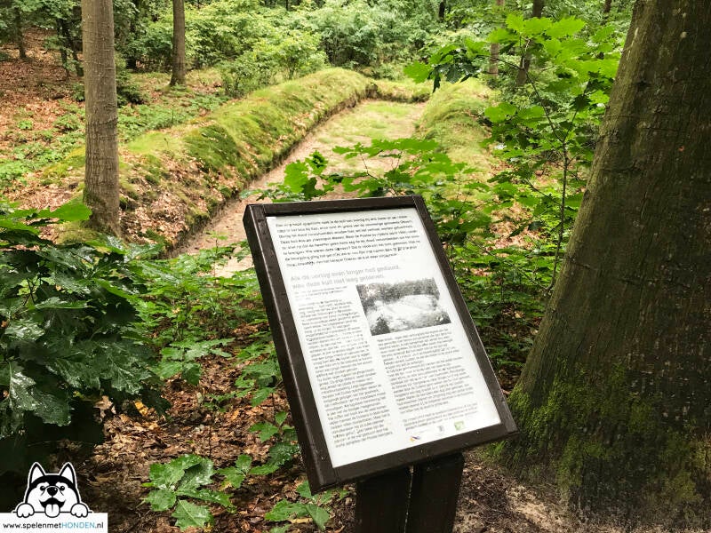 Losloopgebied Boswachterij Exloo in Ees, Drenthe. Hondenspeelotheek Spelen met Honden wandel- en losloopgebieden.