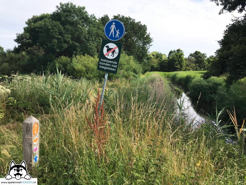Losloopgebied Heilooër Zeeweg Heiloo Noord-Holland. Door Hondenspeelotheek Spelen met Honden Heerhugowaard.