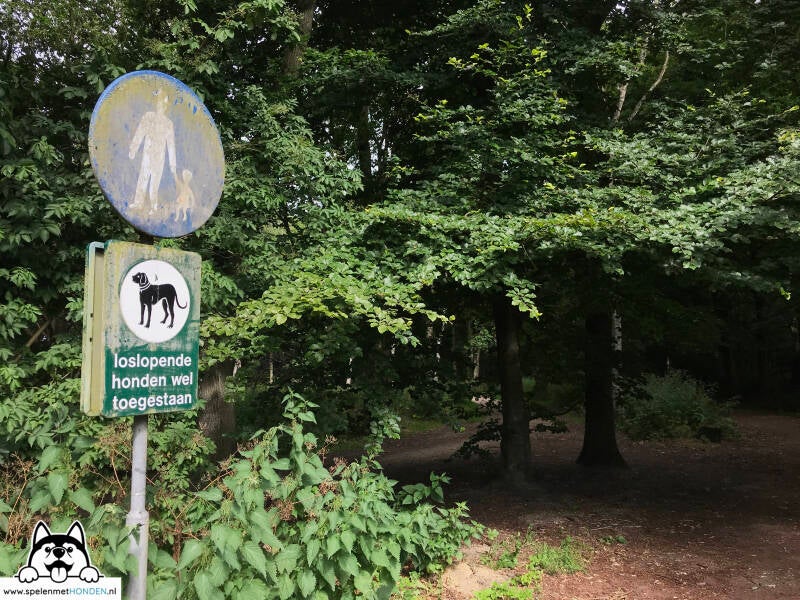 Losloopgebied Heilooër Zeeweg Heiloo Noord-Holland. Door Hondenspeelotheek Spelen met Honden Heerhugowaard.