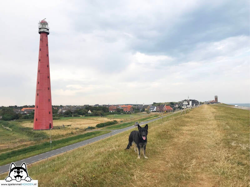 Losloopgebied Zeepromenade Huisduinen Den Helder, Noord-Holland