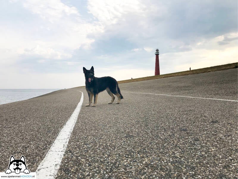 Losloopgebied Zeepromenade Huisduinen Den Helder, Noord-Holland