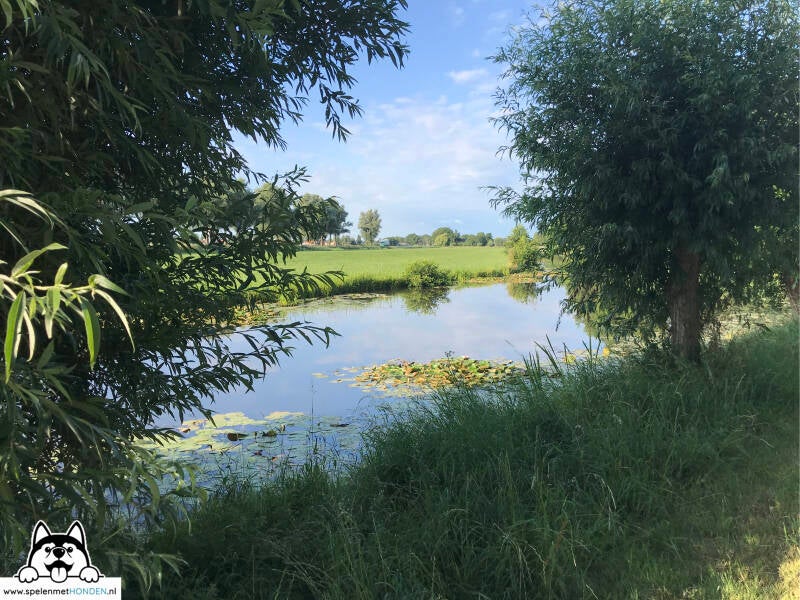 Park Buitenloof, De Goorn, Noord-Holland. Een klein leuk losloopgebied voor als je dichtbij woont