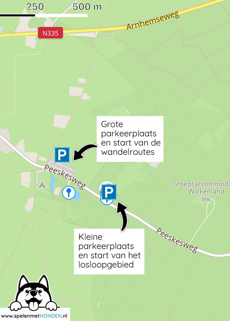 Losloopgebied Bergherbos Beek Gelderland. Door Hondenspeelotheek Spelen met Honden Heerhugowaard.