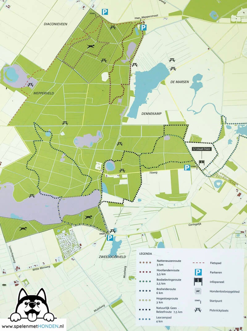 Losloopgebied Boswachterij Gees, Gees / Meppen (Drenthe), Hondenspeelotheek Spelen met Honden Heerhugowaard