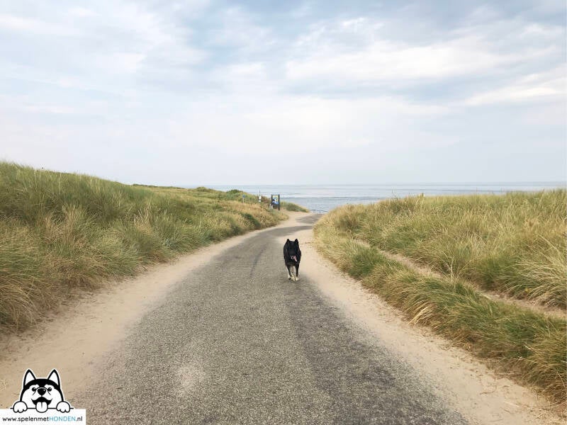 Losloopgebied strandslag Huisduinen Den Helder Noord-Holland
