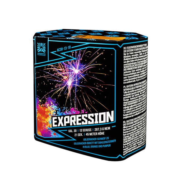 Expression - Argento - 13 Schuss - Laufzeit 21 s - Satzgewicht 287 g NEM - Durchmesser 25 mm