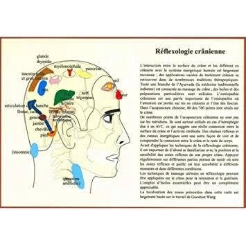 Massage Crânien