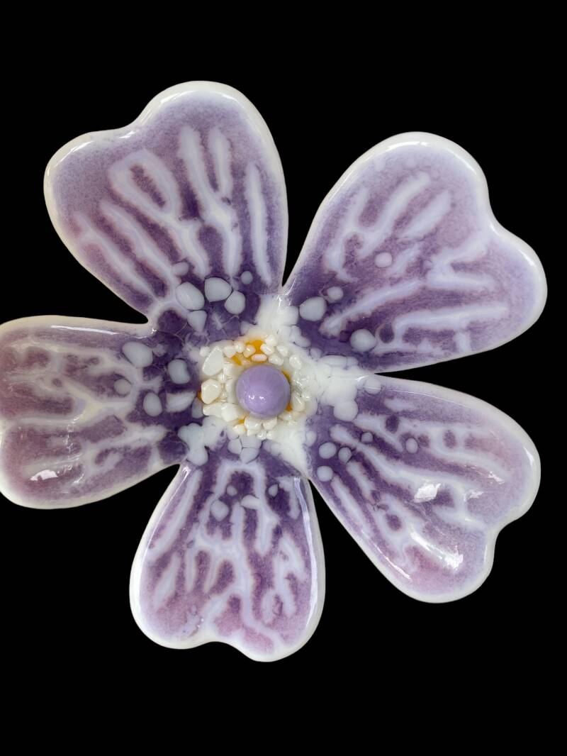 Outdoor bloom Purple simple