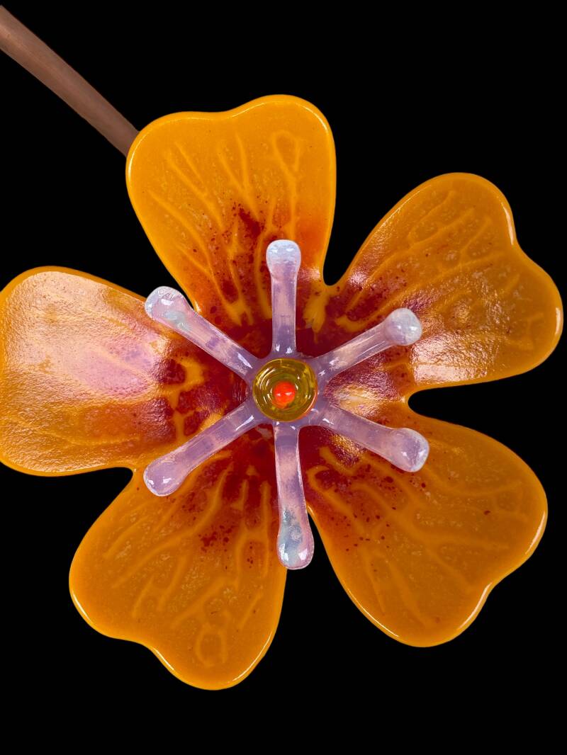 Outdorr bloom Orange