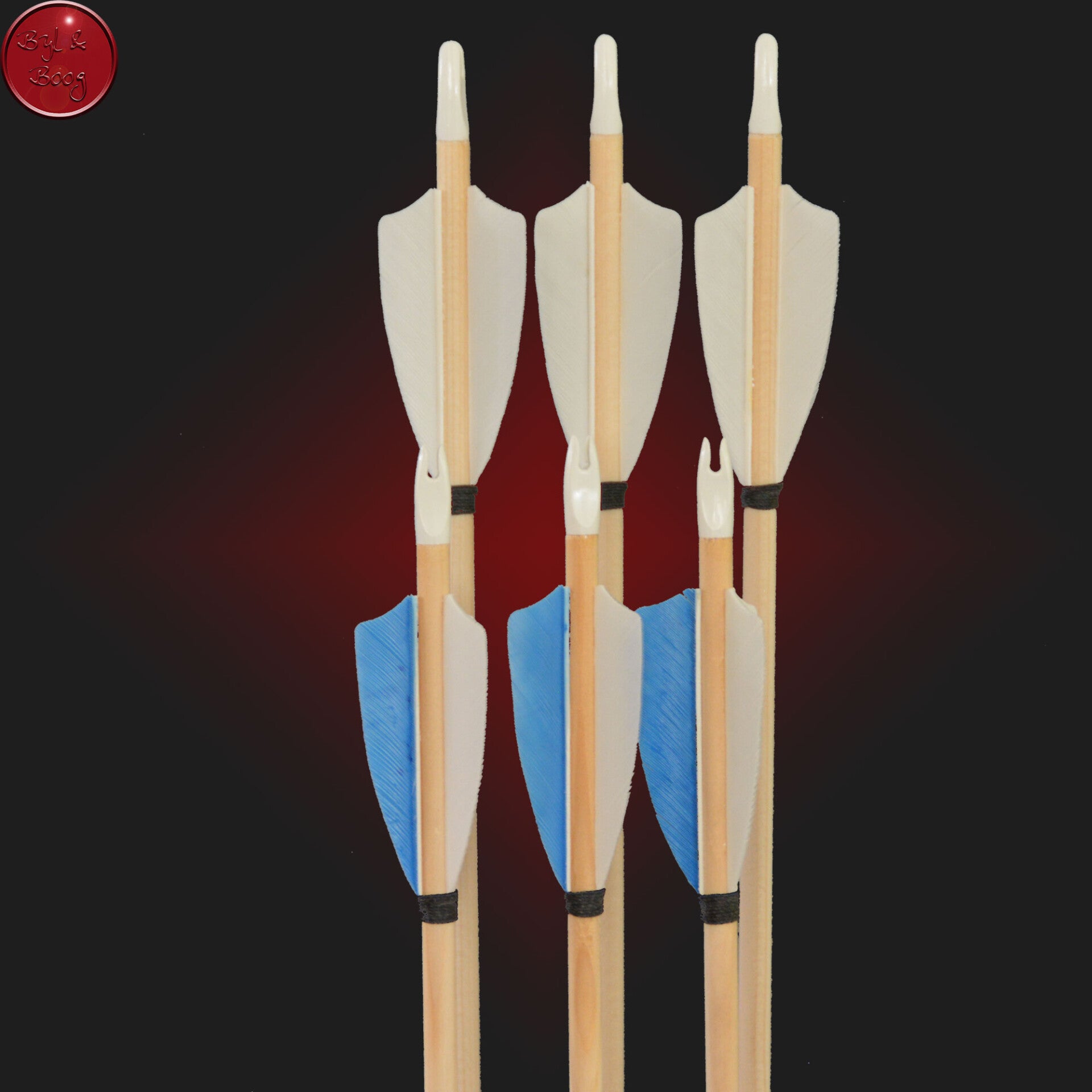 Set van 6 pijlen 35-40 LBS 5/16 inclusief veldpunt