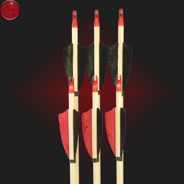 Set van 6 pijlen 30-35 LBS 5/16 inclusief veldpunt