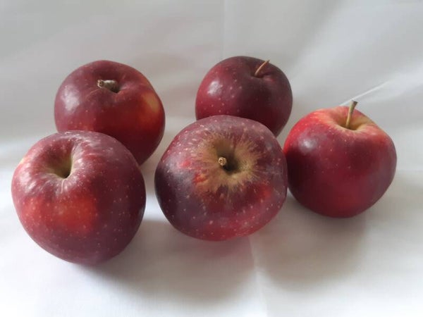 Red Prince appelen