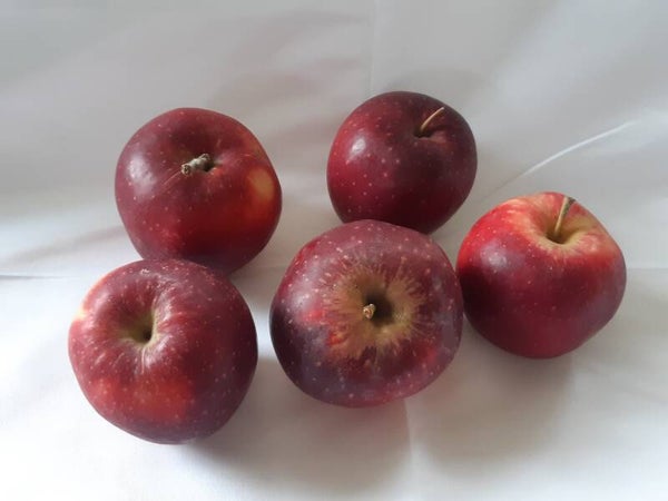 Appel en peren tas