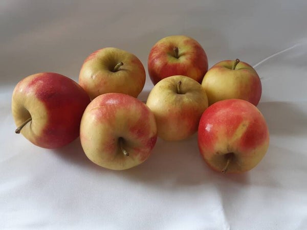 Elstar appelen