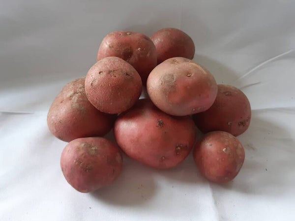 aardappelen