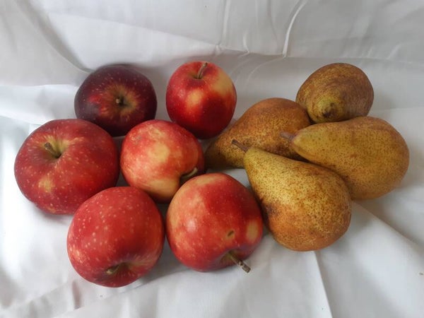 Combi tas - Appel & peer