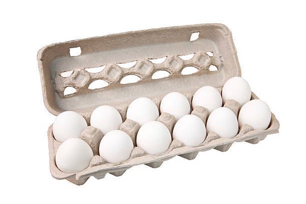 Vrije uitloop kippen eieren