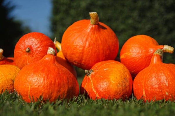 Pompoensoep met paprika