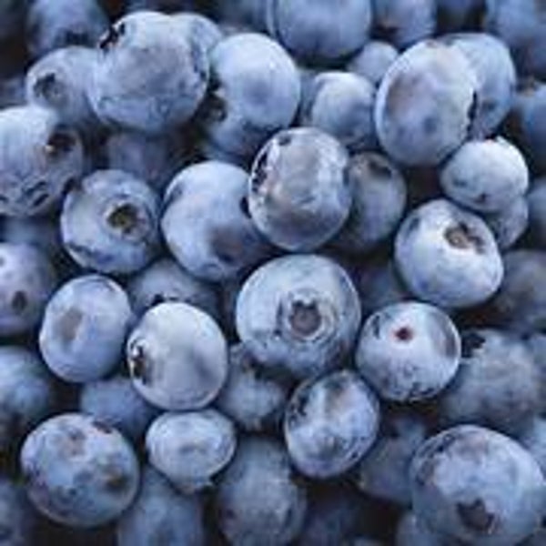 Blauwe bessen aardbeien jam