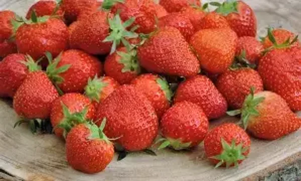 Aardbeien
