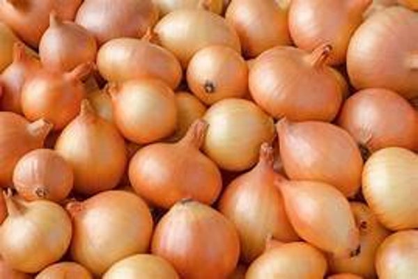 Huisgemaakte soep - Ui