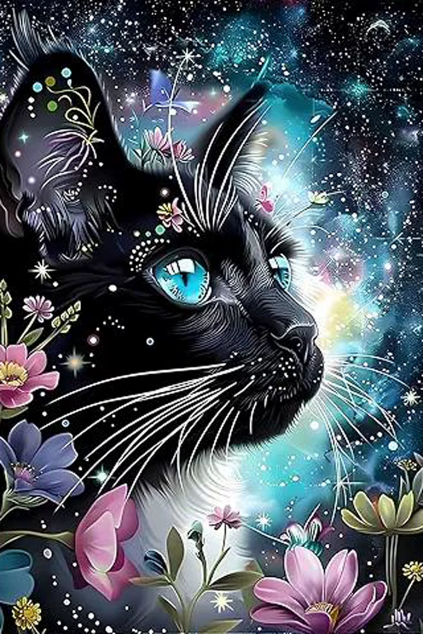 Chat