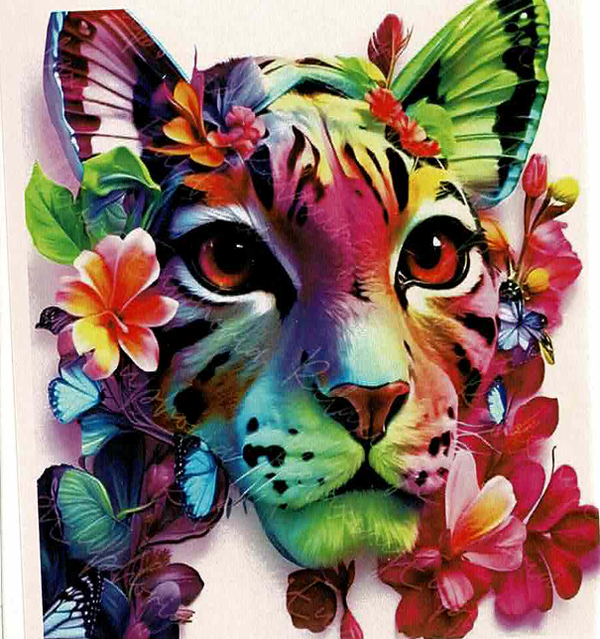 Chat