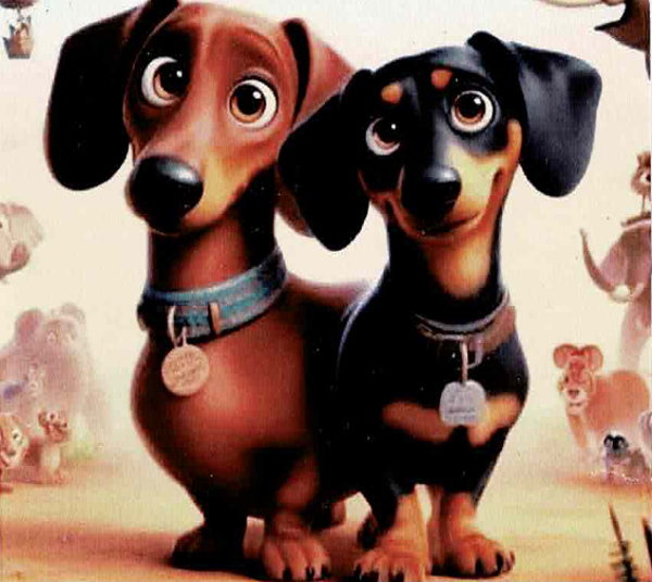 Chiens