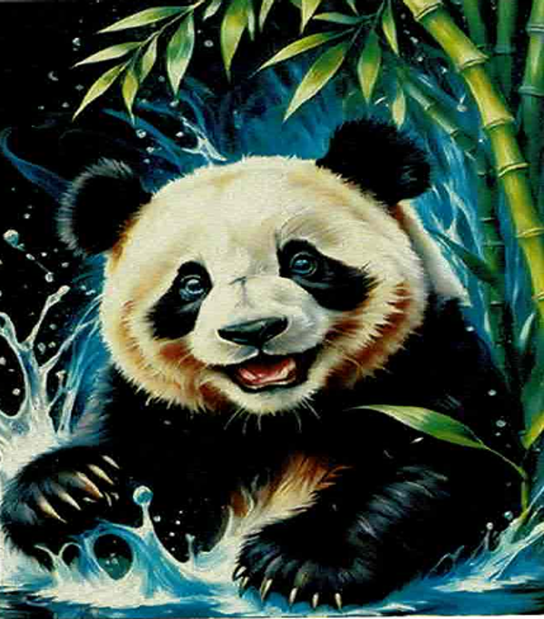 panda