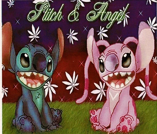 Stitch