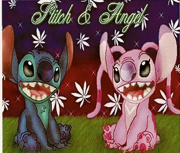 Stitch