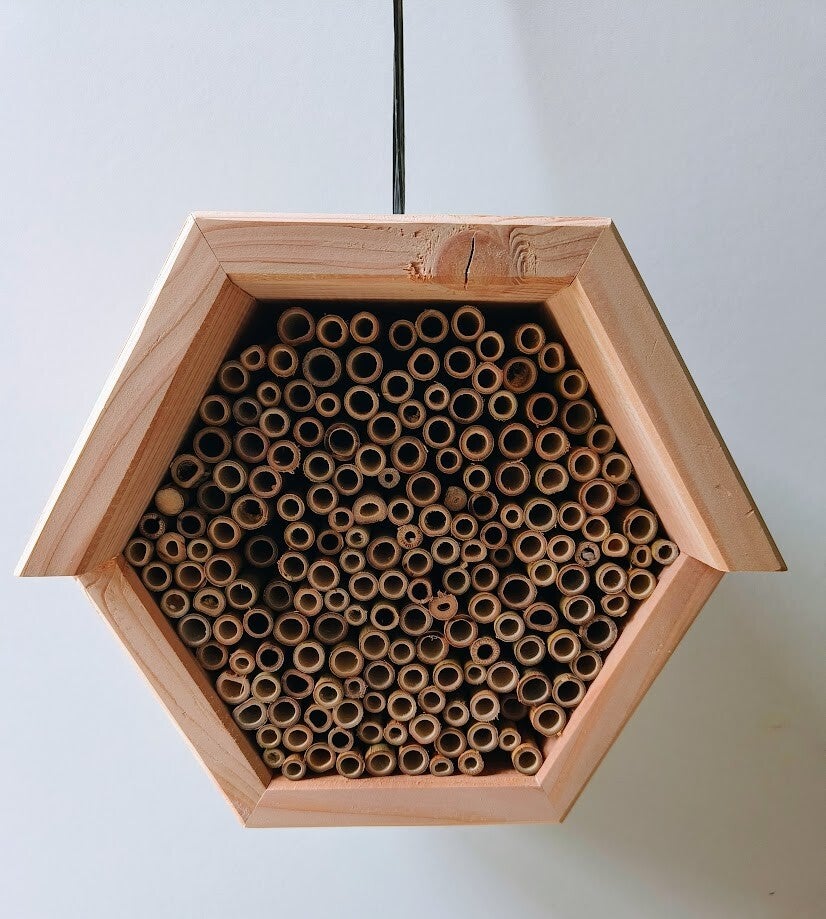 bijenhotel-insectenhotel-m-standard.jpg