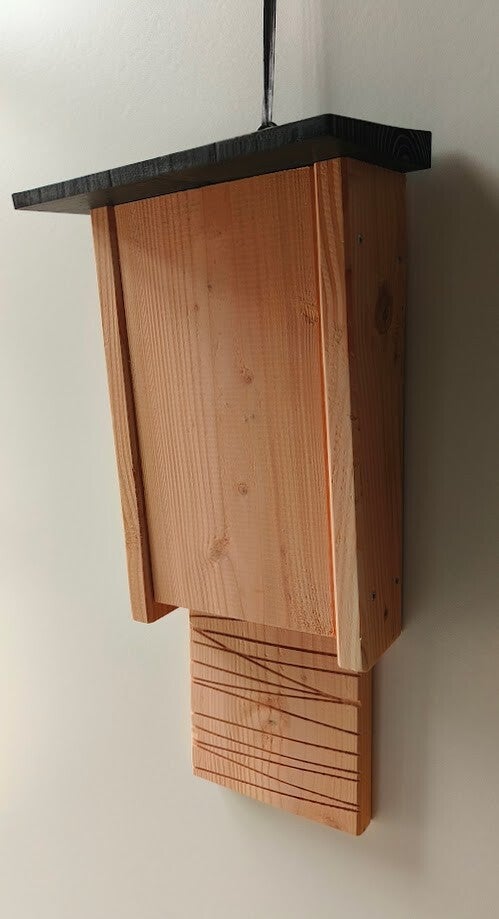 vleermuis-2-standard-jrliff.jpg