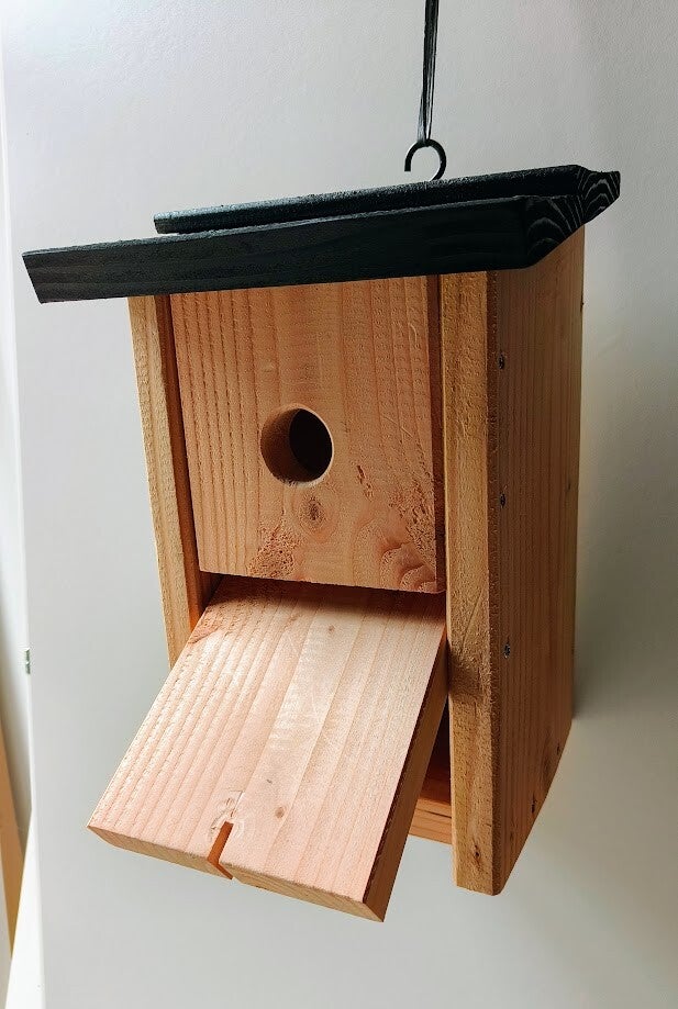 vogelhuis-boomklever-2-standard.jpg