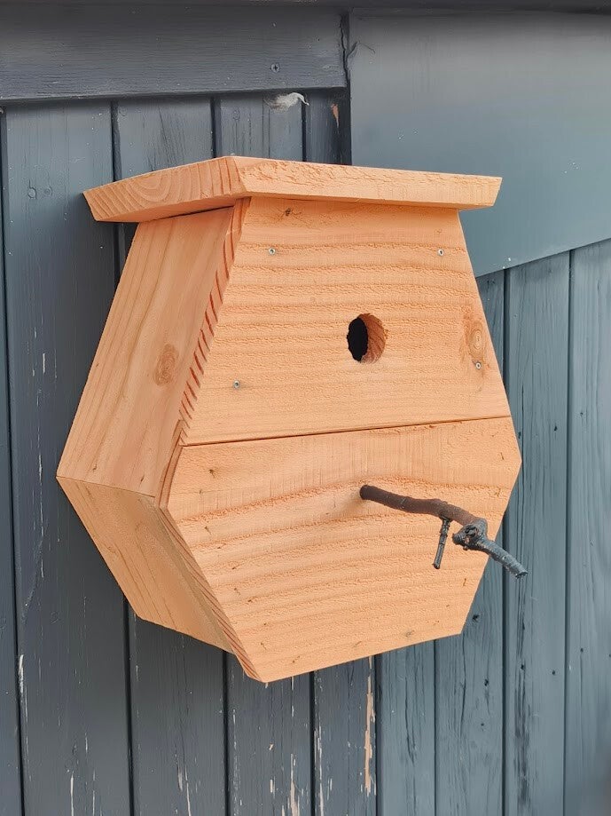 vogelhuis-koolmees-2-standard.jpg