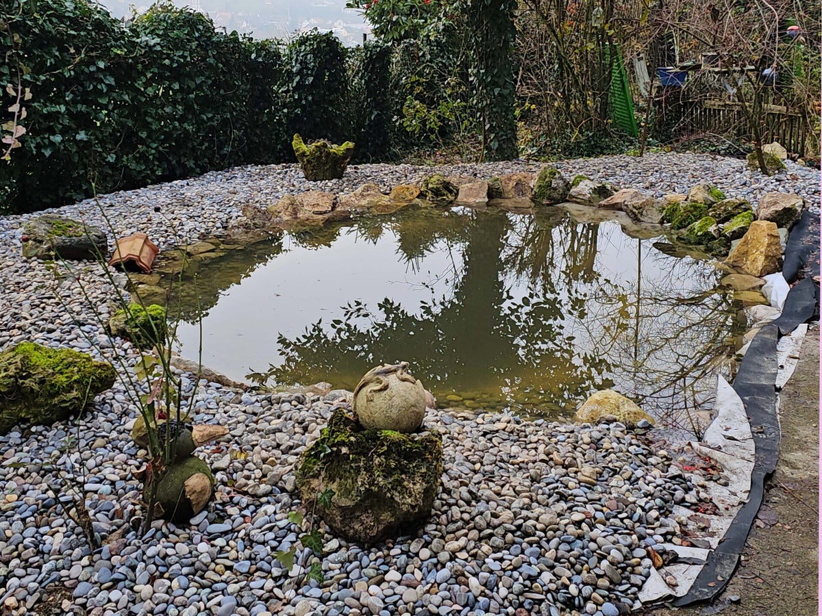 Biotop selber Anlegen / Verschiedenes | naturmotive.ch