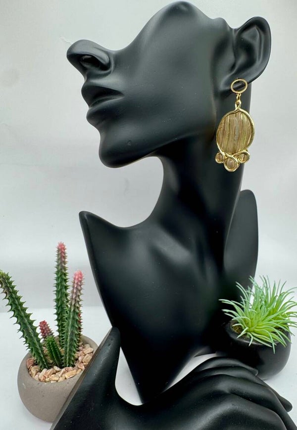 Petrified Wood Design Earrings