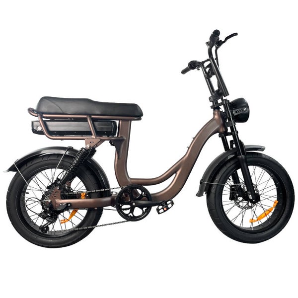 Fatbike 20 inch  EB8 Bruin