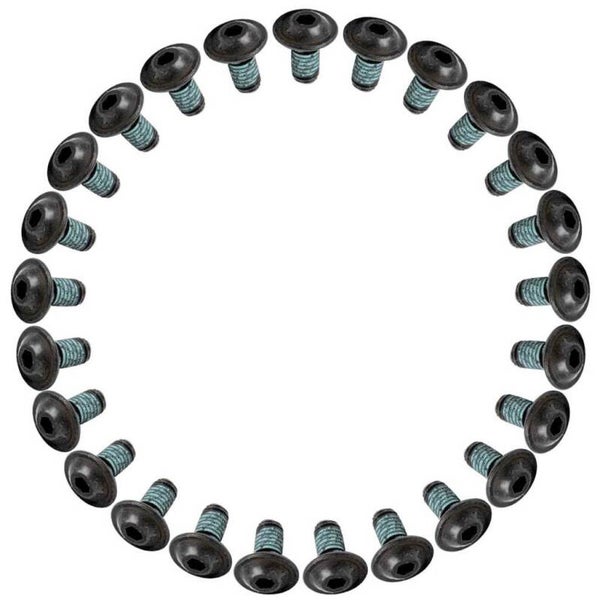 ANP BOUT M5X10 TORX M/LOCTITE CK ZW DS A 25