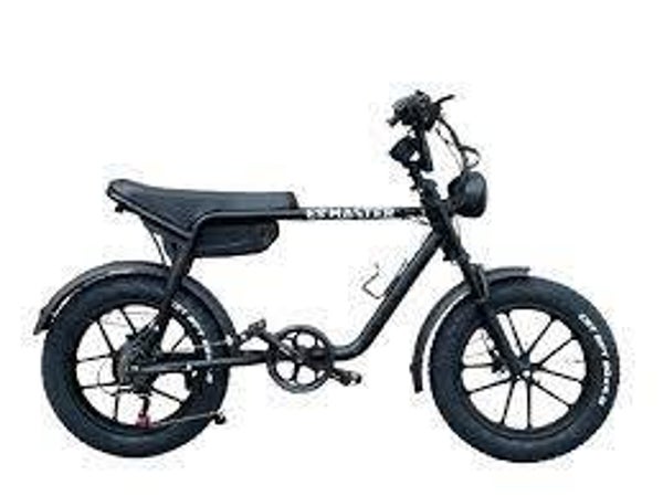 Fatbike Esmaster Ghost 250