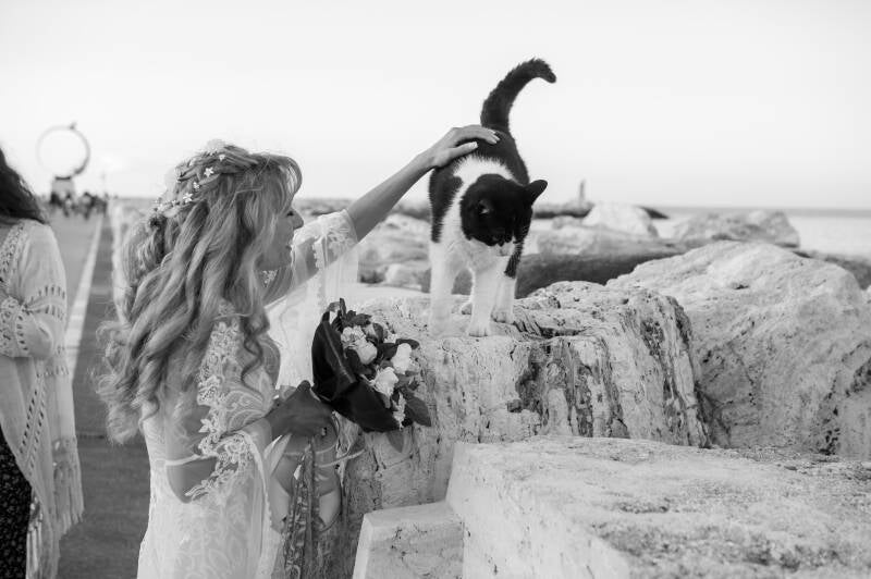 posi assistono spettacolo capoeira matrimonio San Benedetto del Tronto