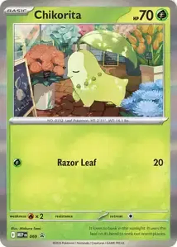 MEP 069 Chikorita