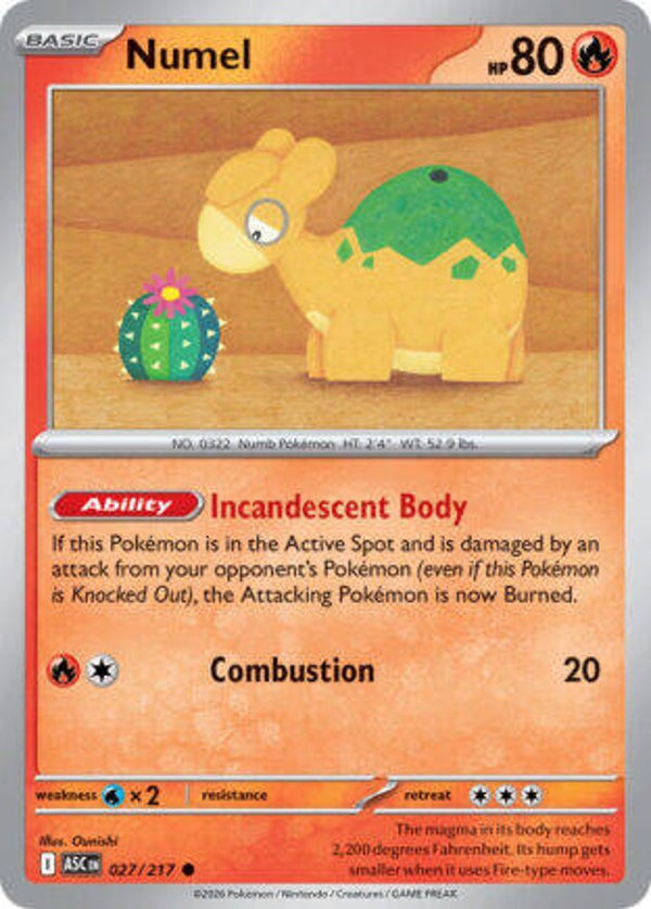 ASC 027 Numel ball pattern reverse holo