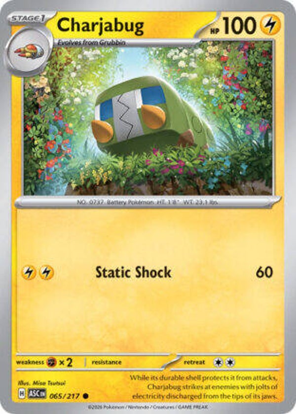 ASC 065 Charjabug ball pattern reverse holo