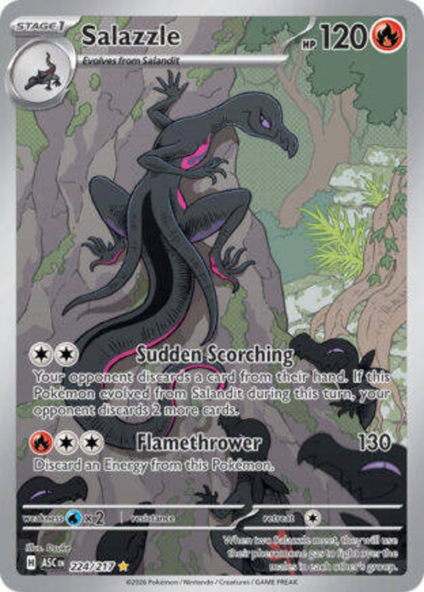 ASC 224 Salazzle