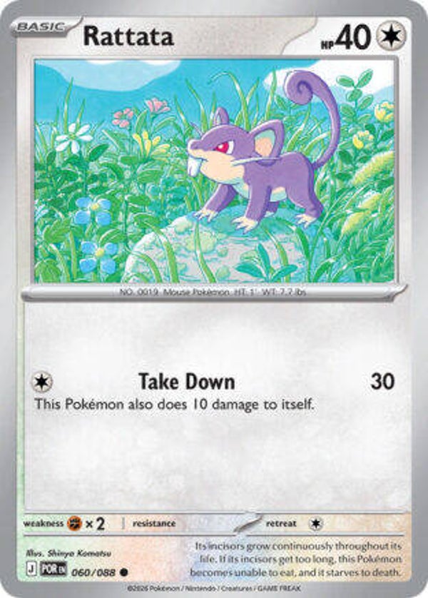 POR 060 Rattata reverse holo