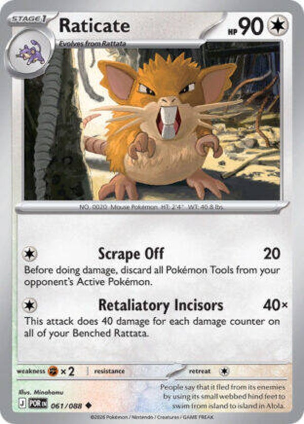 POR 061 Raticate reverse holo