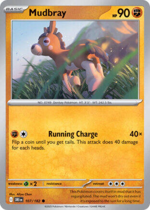 DRI 107 Mudbray reverse holo