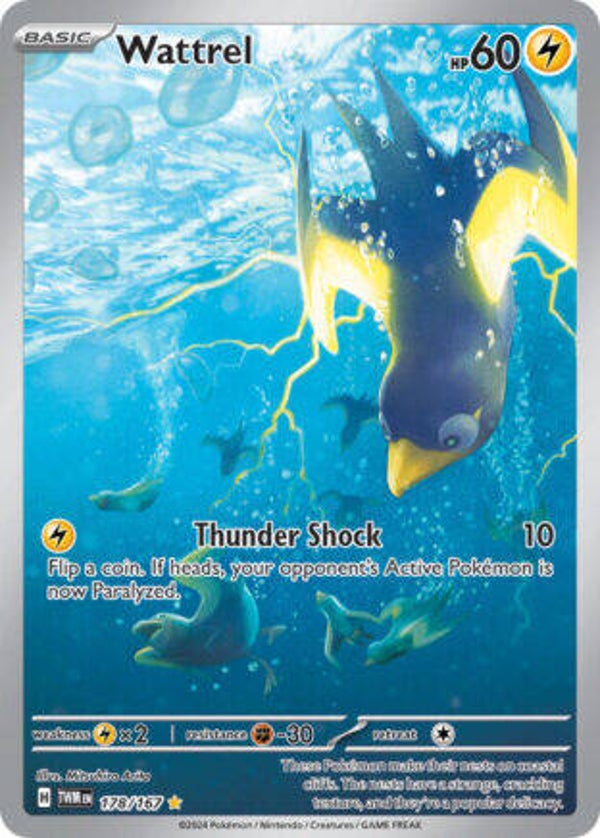 TWM 178 Wattrel
