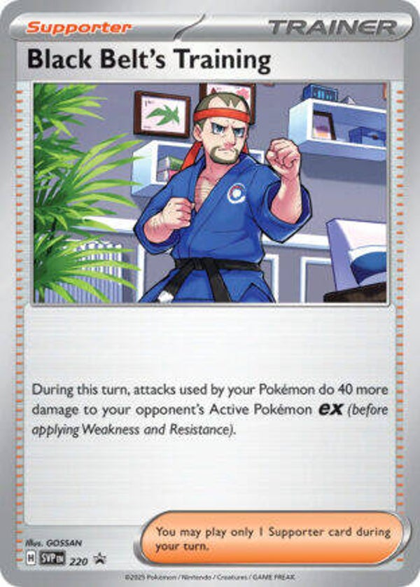 SVP 220 Black Belt's Training